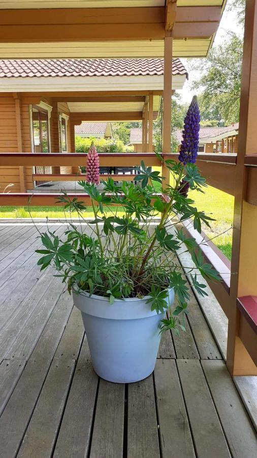 Lupine Lodge Gramsbergen Exteriör bild